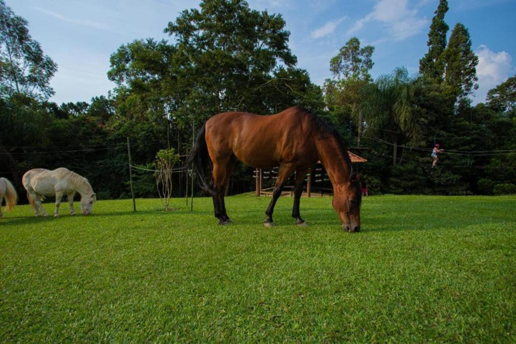 Aldeia Parque Pousada Rural São Roque 외부 사진