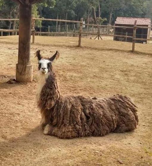 Aldeia Parque Pousada Rural São Roque 외부 사진
