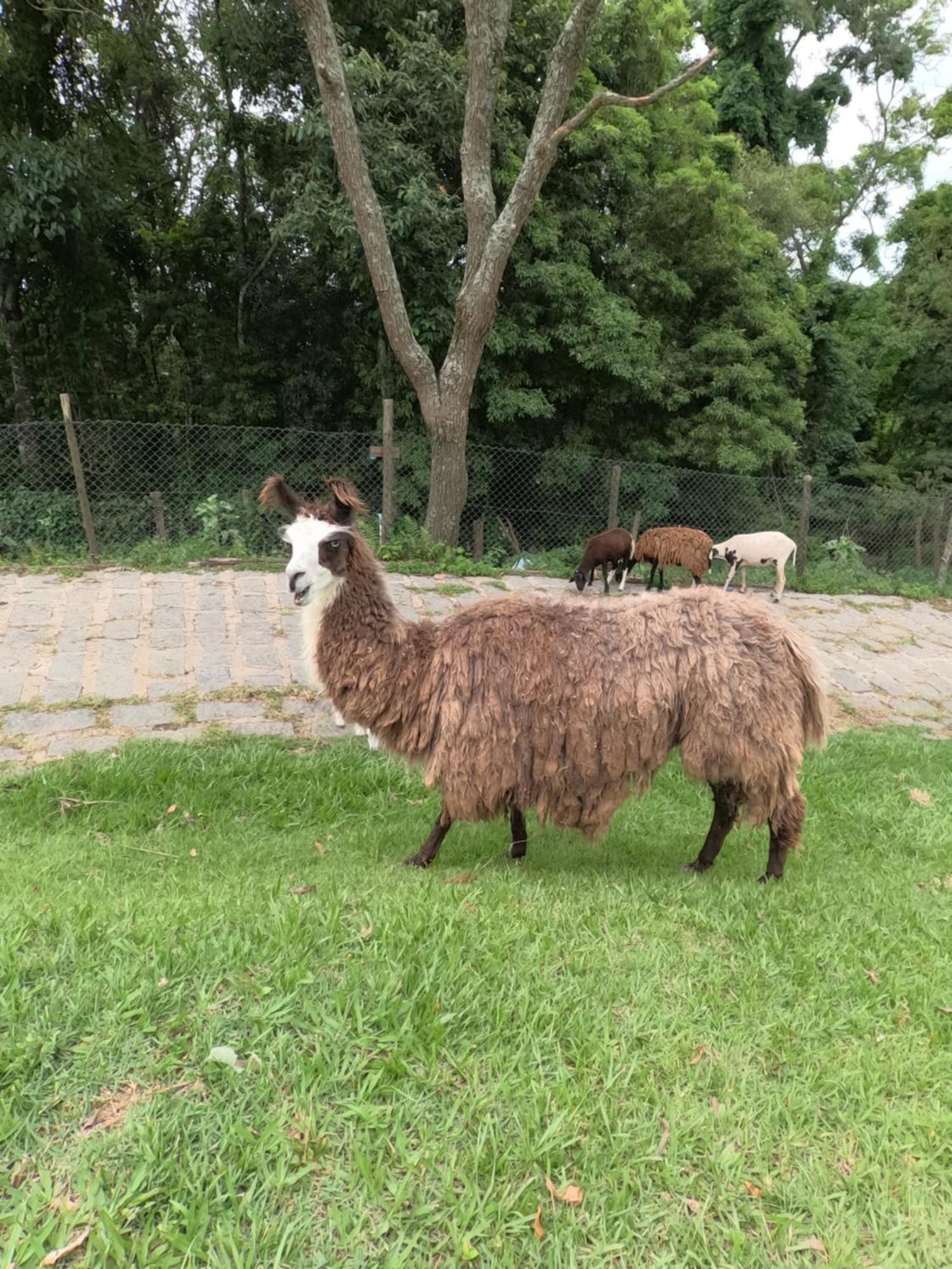 Aldeia Parque Pousada Rural São Roque 외부 사진